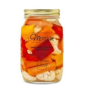 Giardiniera di Morgan  ml. 1000